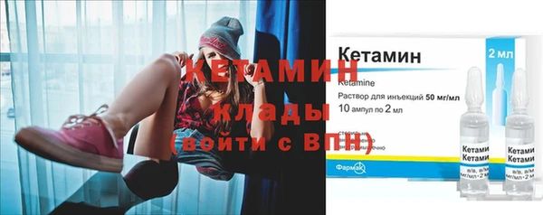 шишки Надым