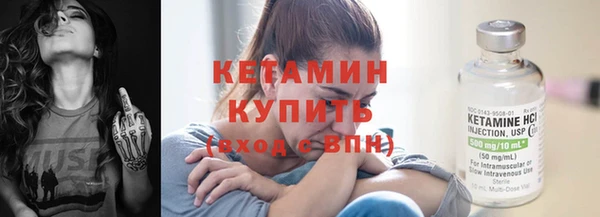 шишки Надым