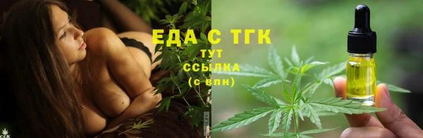 шишки Надым