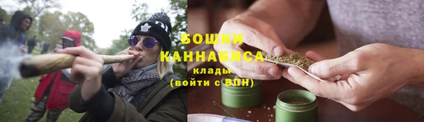 шишки Надым