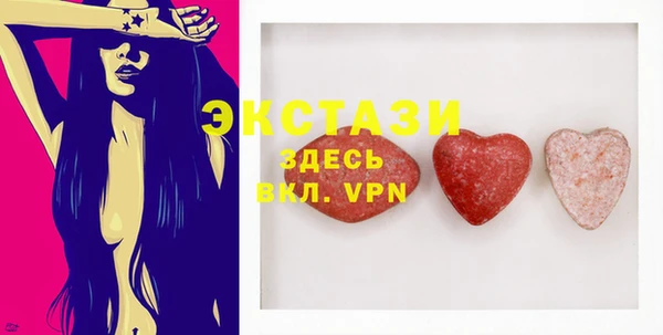 шишки Надым