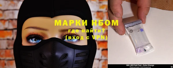 шишки Надым