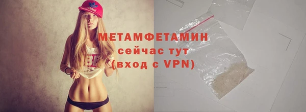 шишки Надым