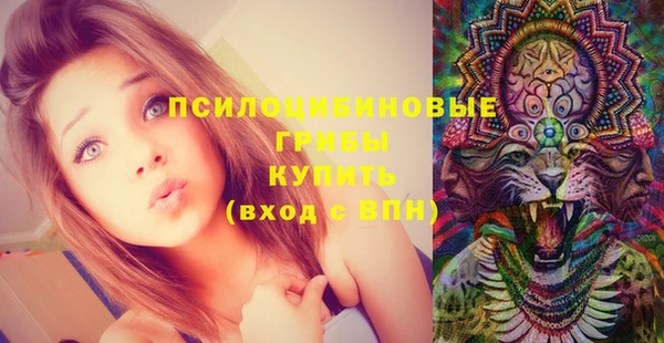 шишки Надым
