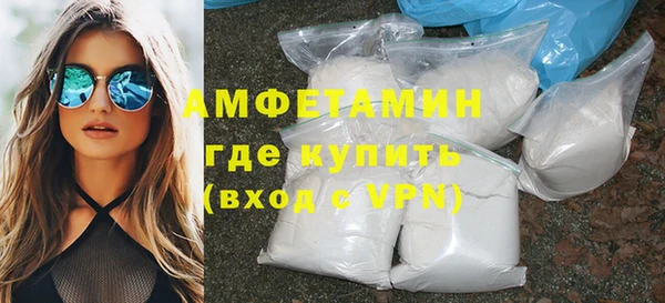 шишки Надым