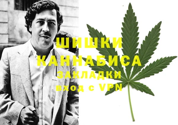 шишки Надым