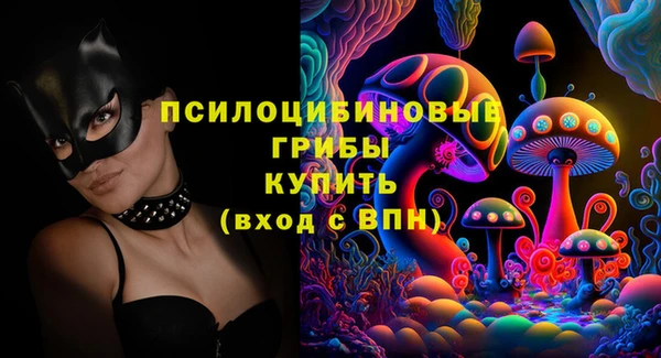 шишки Надым