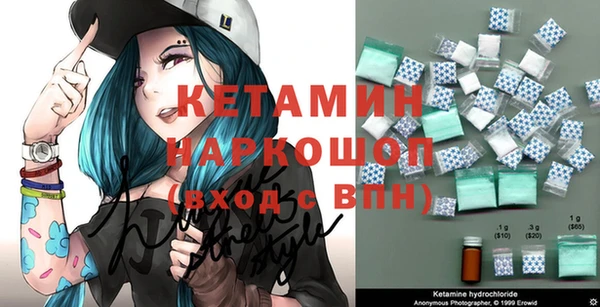 шишки Надым