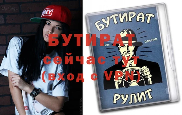 шишки Надым