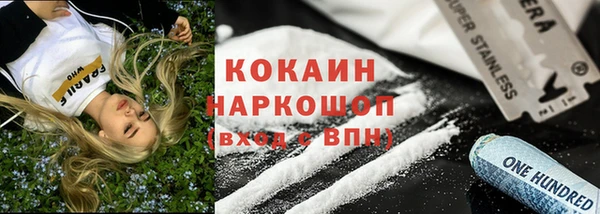 шишки Надым