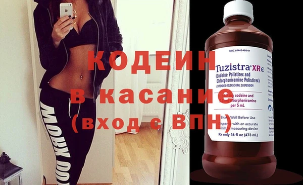 шишки Надым