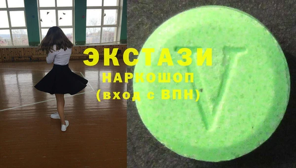 шишки Надым