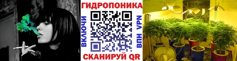 гидра маркетплейс  Райчихинск  Бошки марихуана Bruce Banner 